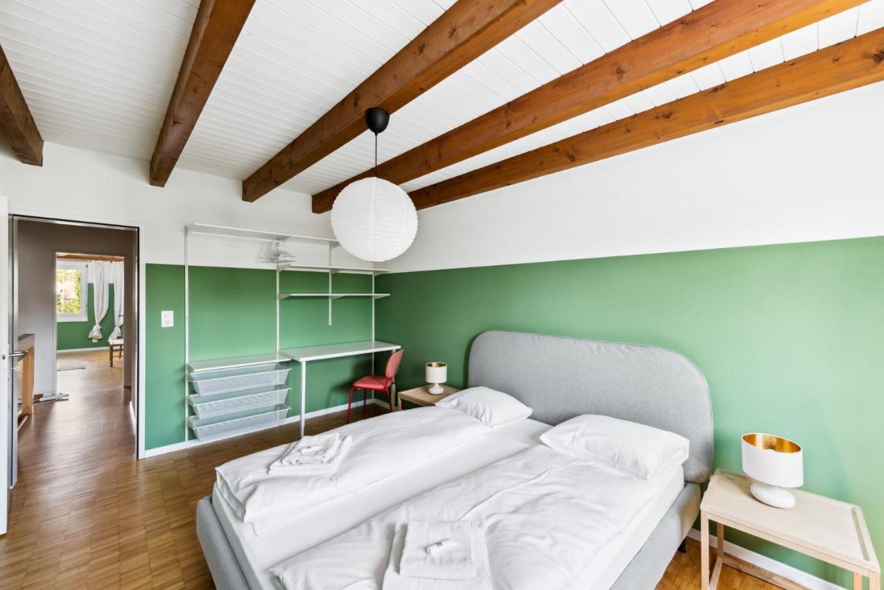 Cozy Apartments Close To The Center Of Zurich Forch Εξωτερικό φωτογραφία