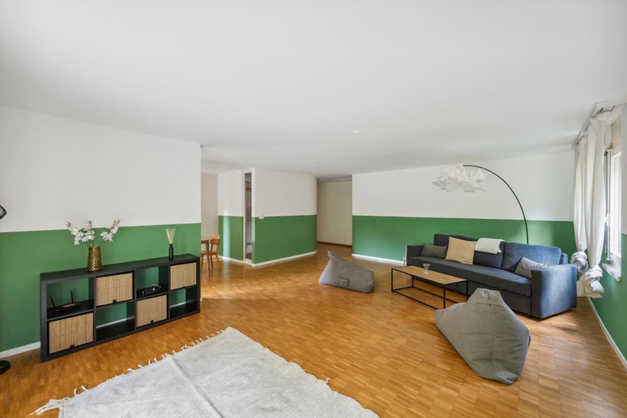 Cozy Apartments Close To The Center Of Zurich Forch Εξωτερικό φωτογραφία